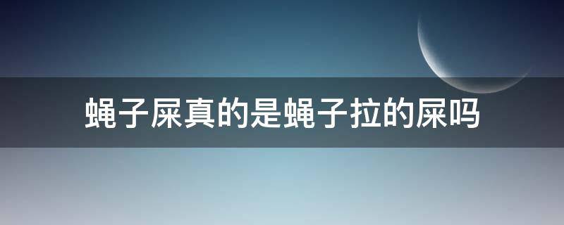 蝇子屎真的是蝇子拉的屎吗（蝇子会拉屎吗）
