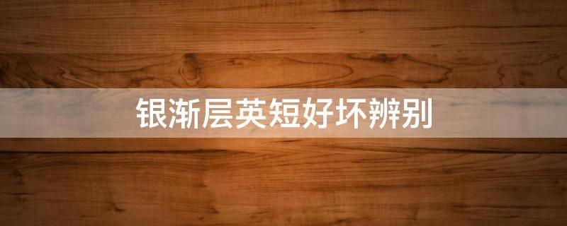 银渐层英短好坏辨别（英短银渐层怎么看纯不纯）