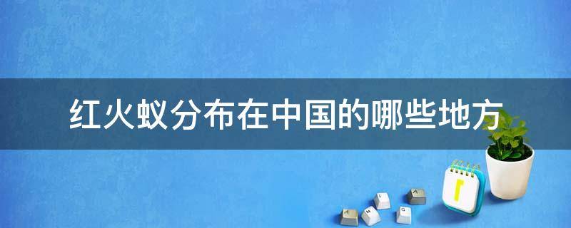 红火蚁分布在中国的哪些地方 红火蚁分布在中国的哪些省份