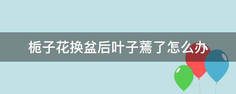 栀子花换盆后叶子蔫了怎么办 栀子花换完盆蔫了怎么办