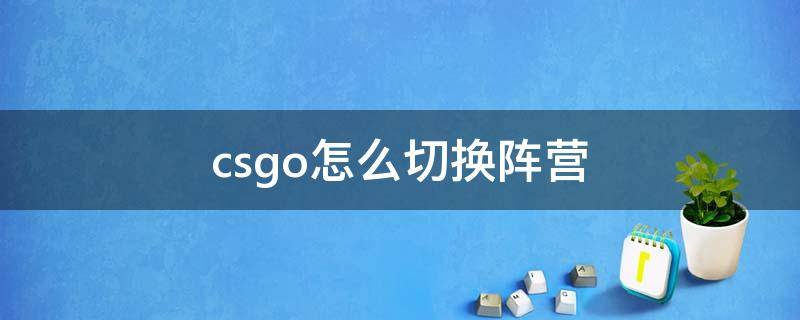 csgo怎么切换阵营（csgo怎么切换阵营打字）