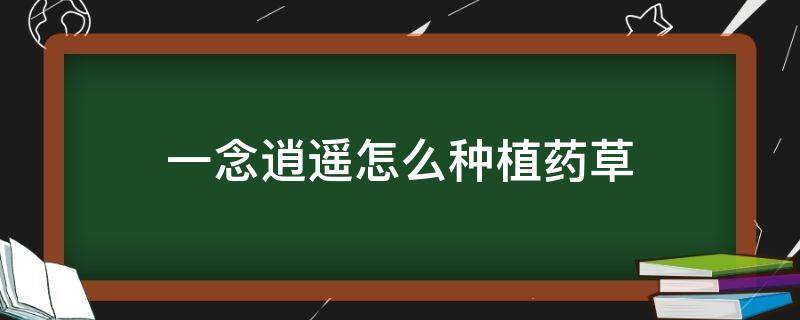 一念逍遥怎么种植药草（一念逍遥 药材）