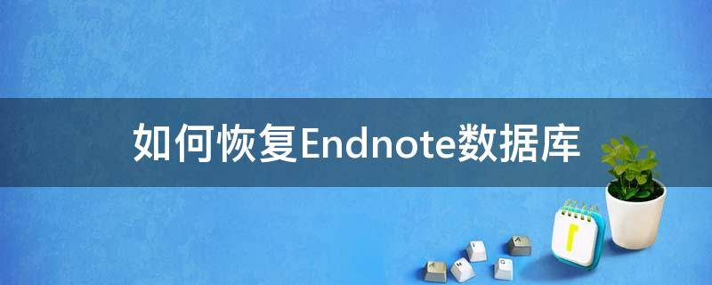 如何恢复Endnote数据库 endnote怎么找回记录