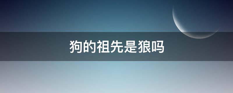 狗的祖先是狼吗（狼狗的祖先是不是狼）