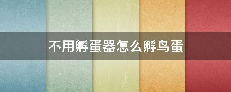 不用孵蛋器怎么孵鸟蛋（怎么在家孵化鸟蛋不用孵化器）