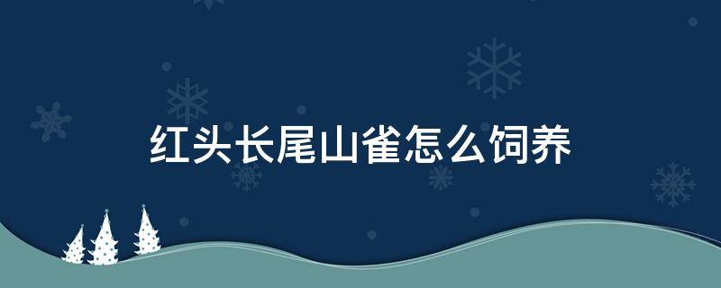 红头长尾山雀怎么饲养（红头长尾山雀能人工繁殖吗）