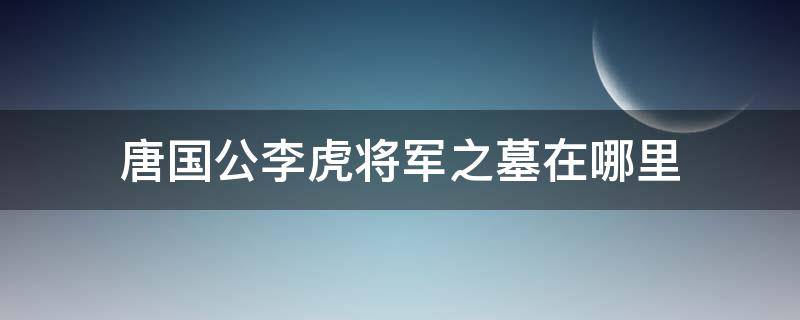 唐国公李虎将军之墓在哪里（大唐李将军之墓）