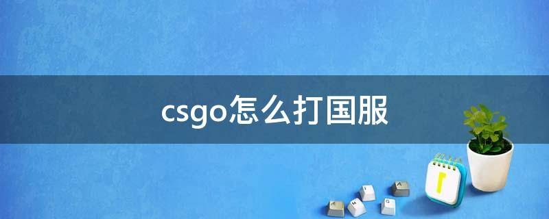 csgo怎么打国服 csgo怎么打国服代码
