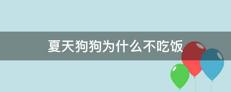夏天狗狗为什么不吃饭 夏天小狗不吃饭