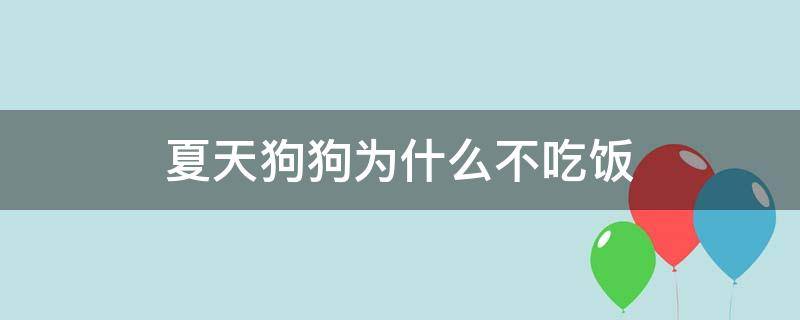 夏天狗狗为什么不吃饭 夏天小狗不吃饭