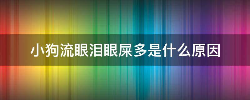 小狗流眼泪眼屎多是什么原因（小狗流眼泪有眼屎是怎么回事）