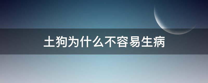 土狗为什么不容易生病 土狗不容易得病吗