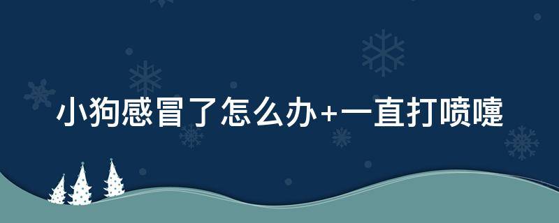 小狗感冒了怎么办 两个月小狗感冒了怎么办