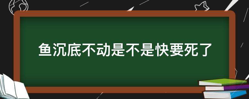 鱼沉底不动是不是快要死了（鱼沉到水底不动是不是要死了）