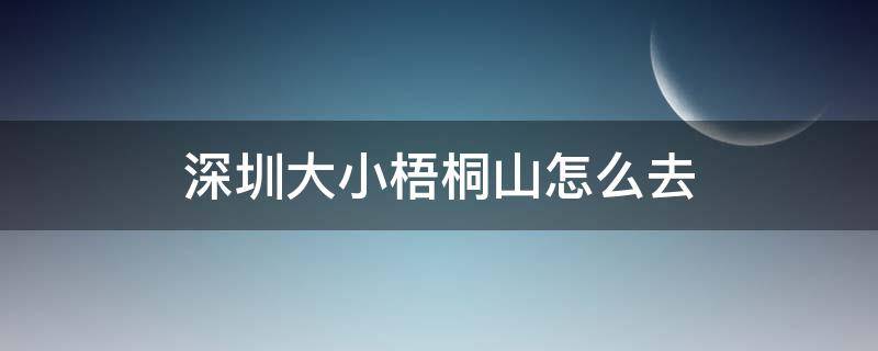 深圳大小梧桐山怎么去（去深圳大梧桐山怎么去）