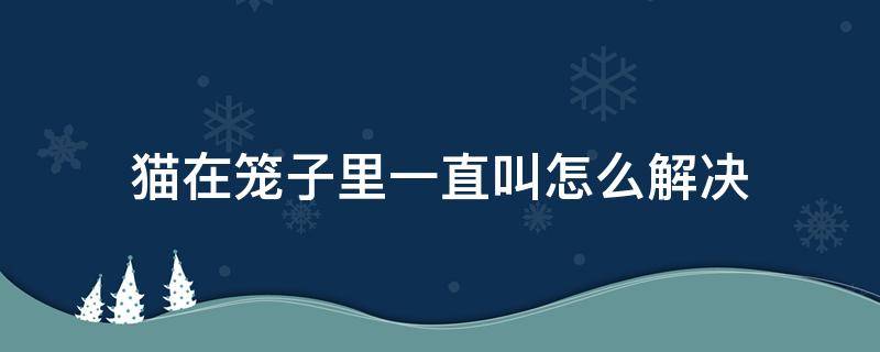 猫在笼子里一直叫怎么解决 猫咪在笼子里老叫怎么办