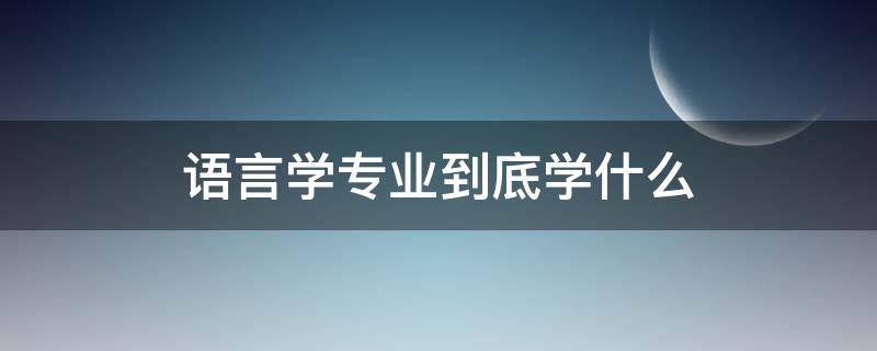 语言学专业到底学什么（语言学专业到底学什么几年）