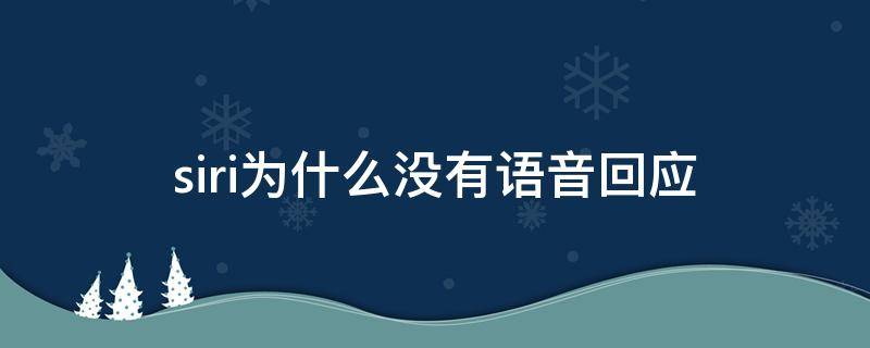 siri为什么没有语音回应 13siri为什么没有语音回应