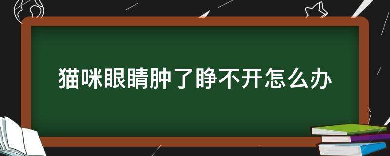 猫咪眼睛肿了睁不开怎么办 猫猫眼睛睁不开有点肿