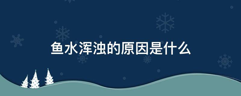 鱼水浑浊的原因是什么 水浑浊对鱼有什么影响