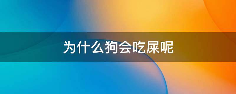 为什么狗会吃屎呢 为什么狗会吃屎呢知乎