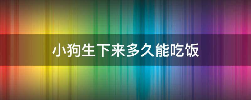 小狗生下来多久能吃饭 刚生出来的小狗几天可以吃饭