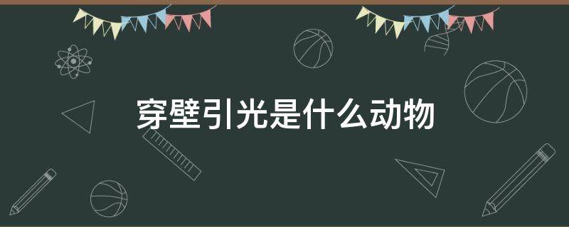 穿壁引光是什么动物 穿壁引光打一种动物