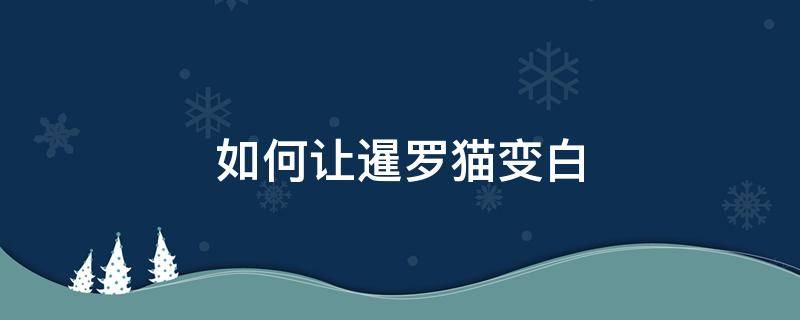 如何让暹罗猫变白（暹罗猫变黑还能变白吗）