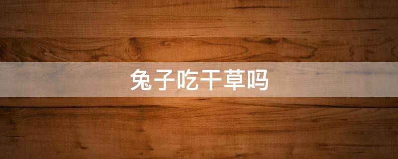 兔子吃干草吗（兔子吃干草吗?）