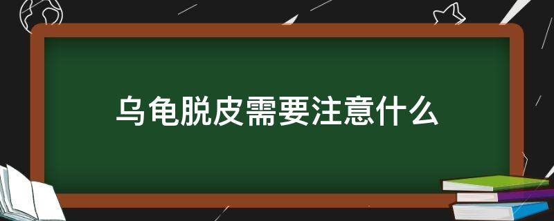 乌龟脱皮需要注意什么（乌龟脱皮时需要干养不?）