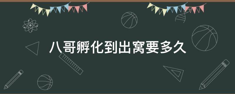 八哥孵化到出窝要多久 八哥孵化要多长时间