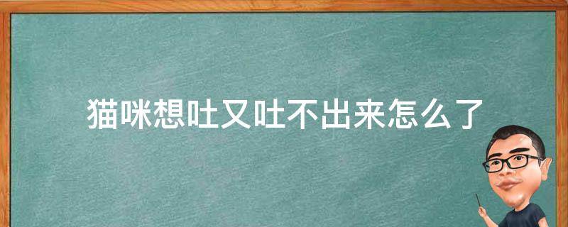 猫咪想吐又吐不出来怎么了 猫咪想吐又吐不出来怎么回事