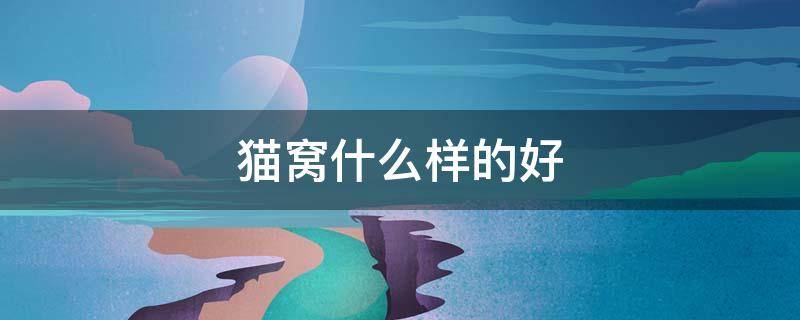 猫窝什么样的好（猫窝哪种好）