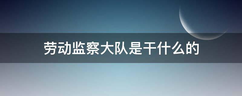 劳动监察大队是干什么的（人社局劳动监察大队是干什么的）