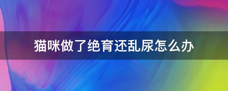 猫咪做了绝育还乱尿怎么办（猫咪做了绝育后还乱尿怎么办）