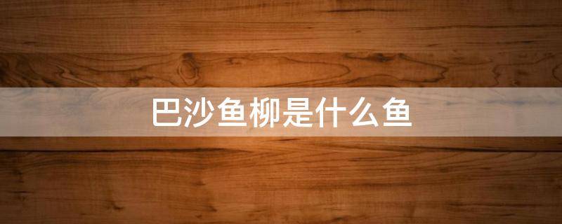 巴沙鱼柳是什么鱼（巴沙鱼柳是海鱼吗）
