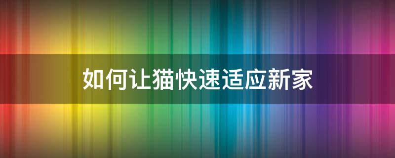 如何让猫快速适应新家 如何让小猫尽快适应新家