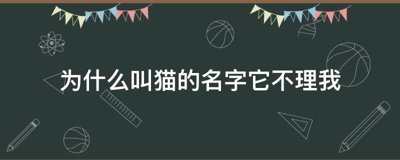 为什么叫猫的名字它不理我 我叫猫为什么不理我