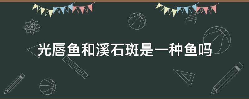 光唇鱼和溪石斑是一种鱼吗 很像溪石斑的鱼是什么鱼