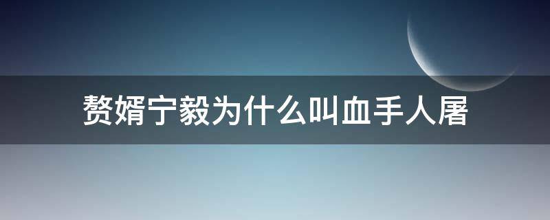 赘婿宁毅为什么叫血手人屠（赘婿老爷为什么杀宁毅）