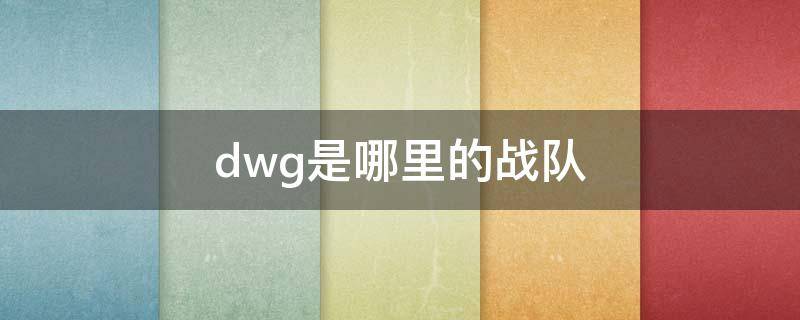 dwg是哪里的战队（DWG战队百度百科）