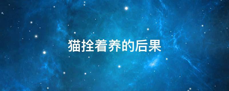 猫拴着养的后果（猫拴着养的好处）