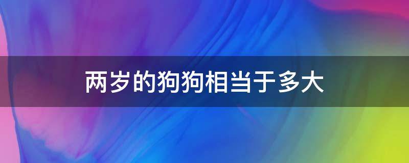 两岁的狗狗相当于多大 狗狗两岁相当于几岁