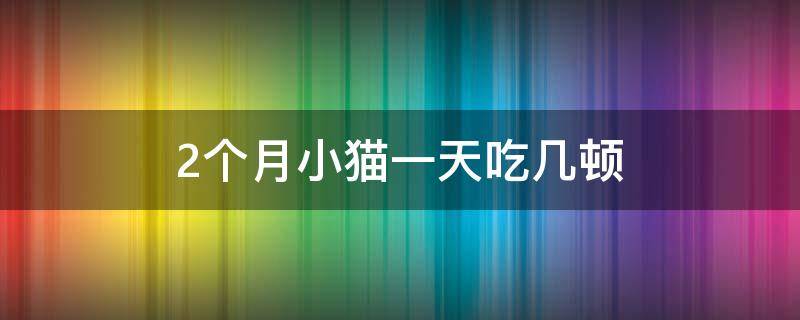 2个月小猫一天吃几顿（2个多月小猫一天吃几顿）