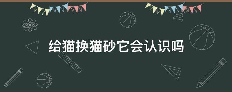 给猫换猫砂它会认识吗 经常给猫换猫砂