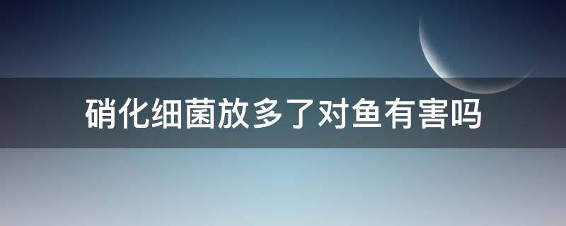 硝化细菌放多了对鱼有害吗（硝化细菌加多了对鱼有什么影响）