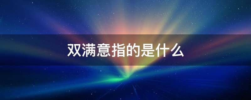 双满意指的是什么 两满意是指