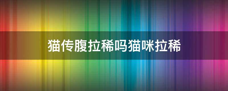 猫传腹拉稀吗猫咪拉稀 猫传腹拉稀是没控制住吗