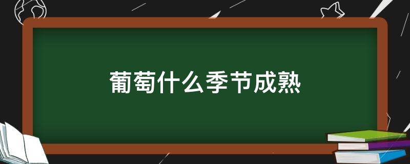 葡萄什么季节成熟（北方葡萄什么季节成熟）