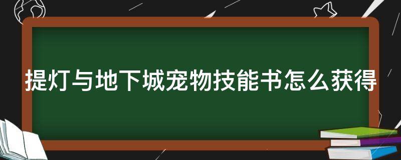 提灯与地下城宠物技能书怎么获得 提灯与地下城宠物技能书攻略
